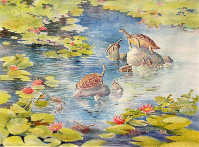 Lilies and Turtles